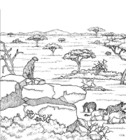 A coloring page of nature in africa